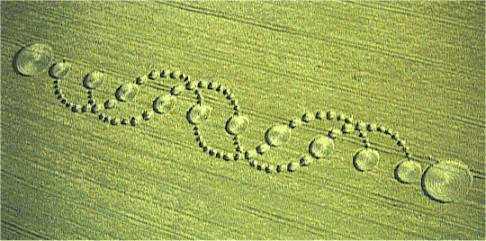 DNA crop circle