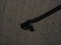 IMG_8022