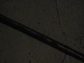 IMG_8130