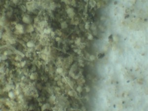 Capture_00115-300x225