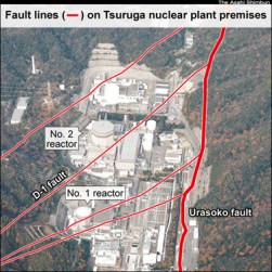 Fukushima Update | Nuclear regulators acknowledge fault below Tsuruga reactor is active